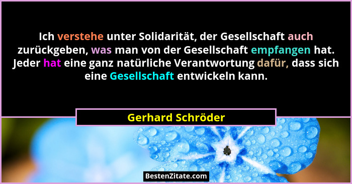 Ich verstehe unter Solidarität, der Gesellschaft auch zurückgeben, was man von der Gesellschaft empfangen hat. Jeder hat eine ganz... - Gerhard Schröder