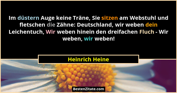 Im düstern Auge keine Träne, Sie sitzen am Webstuhl und fletschen die Zähne: Deutschland, wir weben dein Leichentuch, Wir weben hinei... - Heinrich Heine
