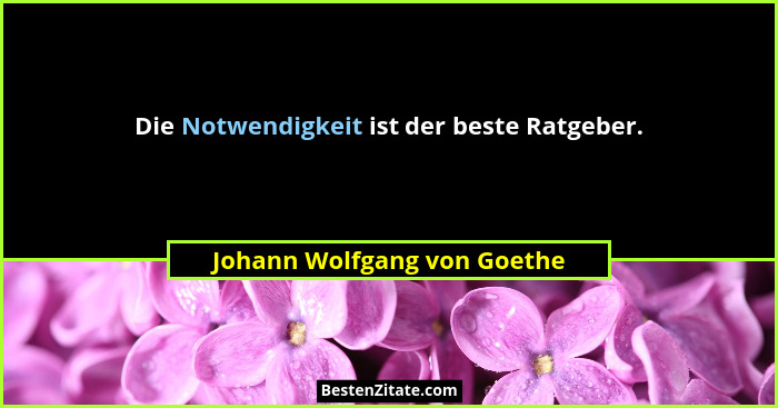Die Notwendigkeit ist der beste Ratgeber.... - Johann Wolfgang von Goethe
