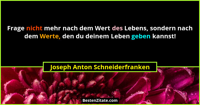 Frage nicht mehr nach dem Wert des Lebens, sondern nach dem Werte, den du deinem Leben geben kannst!... - Joseph Anton Schneiderfranken