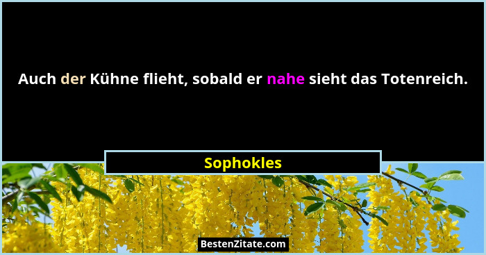 Auch der Kühne flieht, sobald er nahe sieht das Totenreich.... - Sophokles