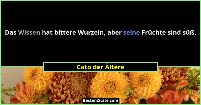 Das Wissen hat bittere Wurzeln, aber seine Früchte sind süß.... - Cato der Ältere