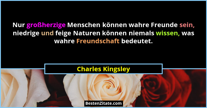 Nur großherzige Menschen können wahre Freunde sein, niedrige und feige Naturen können niemals wissen, was wahre Freundschaft bedeut... - Charles Kingsley
