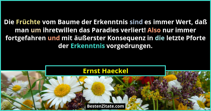 Die Früchte vom Baume der Erkenntnis sind es immer Wert, daß man um ihretwillen das Paradies verliert! Also nur immer fortgefahren und... - Ernst Haeckel