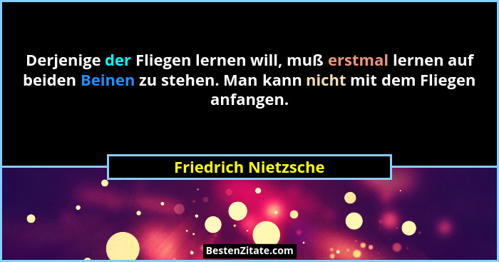 Derjenige der Fliegen lernen will, muß erstmal lernen auf beiden Beinen zu stehen. Man kann nicht mit dem Fliegen anfangen.... - Friedrich Nietzsche