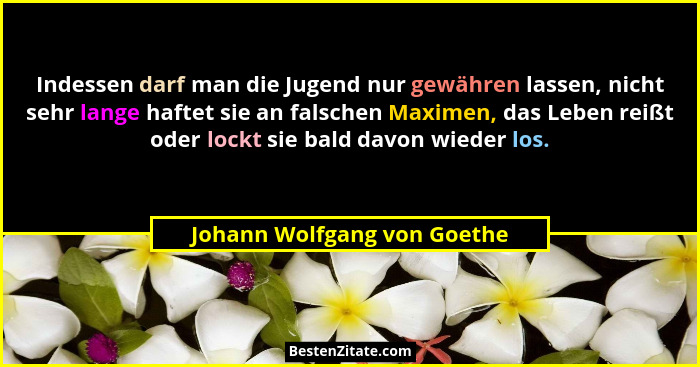 Indessen darf man die Jugend nur gewähren lassen, nicht sehr lange haftet sie an falschen Maximen, das Leben reißt oder l... - Johann Wolfgang von Goethe