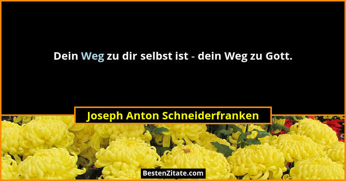 Dein Weg zu dir selbst ist - dein Weg zu Gott.... - Joseph Anton Schneiderfranken