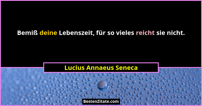 Bemiß deine Lebenszeit, für so vieles reicht sie nicht.... - Lucius Annaeus Seneca