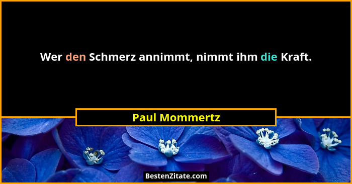 Wer den Schmerz annimmt, nimmt ihm die Kraft.... - Paul Mommertz