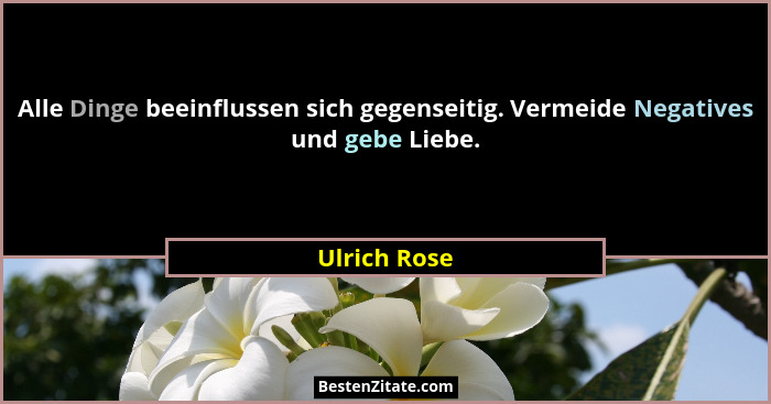 Alle Dinge beeinflussen sich gegenseitig. Vermeide Negatives und gebe Liebe.... - Ulrich Rose