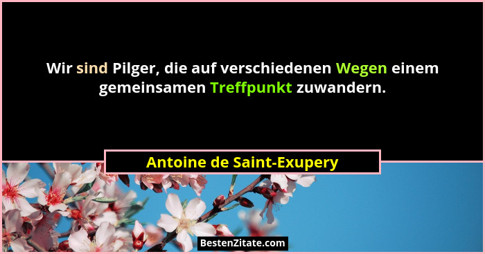Wir sind Pilger, die auf verschiedenen Wegen einem gemeinsamen Treffpunkt zuwandern.... - Antoine de Saint-Exupery