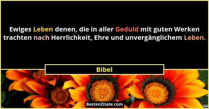 Ewiges Leben denen, die in aller Geduld mit guten Werken trachten nach Herrlichkeit, Ehre und unvergänglichem Leben.... - Bibel