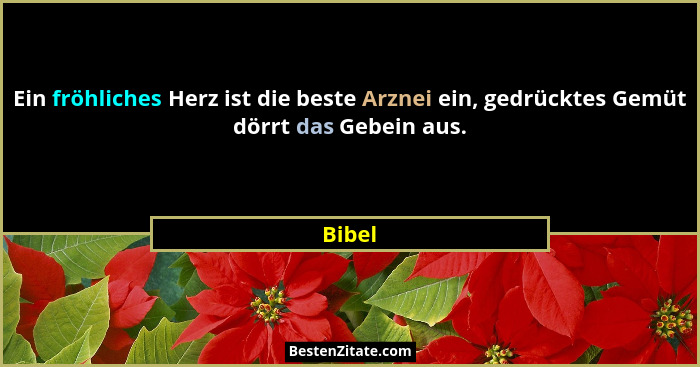 Ein fröhliches Herz ist die beste Arznei ein, gedrücktes Gemüt dörrt das Gebein aus.... - Bibel