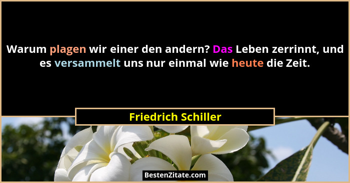 Warum plagen wir einer den andern? Das Leben zerrinnt, und es versammelt uns nur einmal wie heute die Zeit.... - Friedrich Schiller