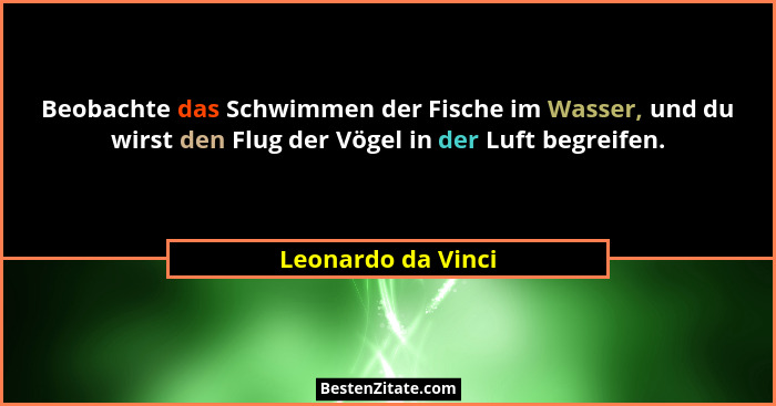 Beobachte das Schwimmen der Fische im Wasser, und du wirst den Flug der Vögel in der Luft begreifen.... - Leonardo da Vinci