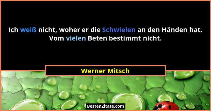 Ich weiß nicht, woher er die Schwielen an den Händen hat. Vom vielen Beten bestimmt nicht.... - Werner Mitsch