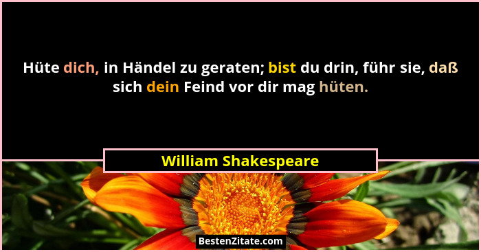 Hüte dich, in Händel zu geraten; bist du drin, führ sie, daß sich dein Feind vor dir mag hüten.... - William Shakespeare