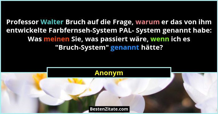 Professor Walter Bruch auf die Frage, warum er das von ihm entwickelte Farbfernseh-System PAL- System genannt habe: Was meinen Sie, was passi... - Anonym