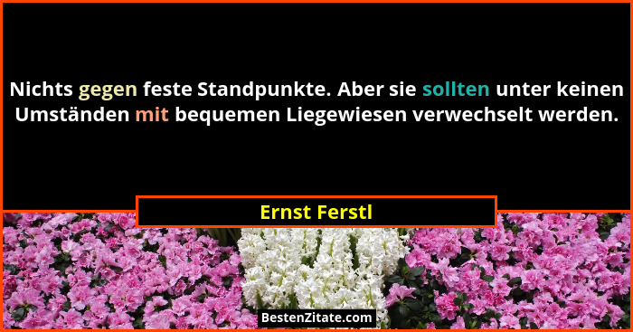 Nichts gegen feste Standpunkte. Aber sie sollten unter keinen Umständen mit bequemen Liegewiesen verwechselt werden.... - Ernst Ferstl