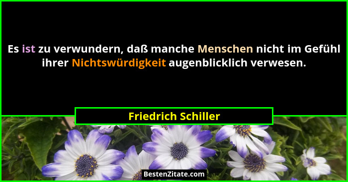 Es ist zu verwundern, daß manche Menschen nicht im Gefühl ihrer Nichtswürdigkeit augenblicklich verwesen.... - Friedrich Schiller
