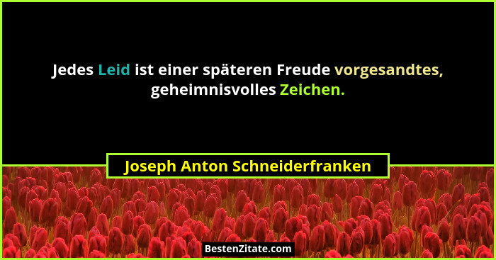 Jedes Leid ist einer späteren Freude vorgesandtes, geheimnisvolles Zeichen.... - Joseph Anton Schneiderfranken
