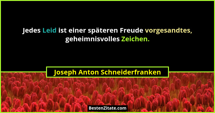 Jedes Leid ist einer späteren Freude vorgesandtes, geheimnisvolles Zeichen.... - Joseph Anton Schneiderfranken