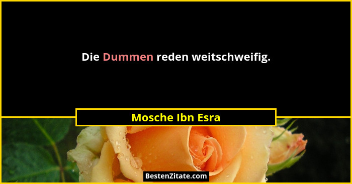 Die Dummen reden weitschweifig.... - Mosche Ibn Esra