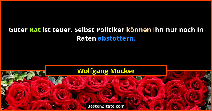 Guter Rat ist teuer. Selbst Politiker können ihn nur noch in Raten abstottern.... - Wolfgang Mocker