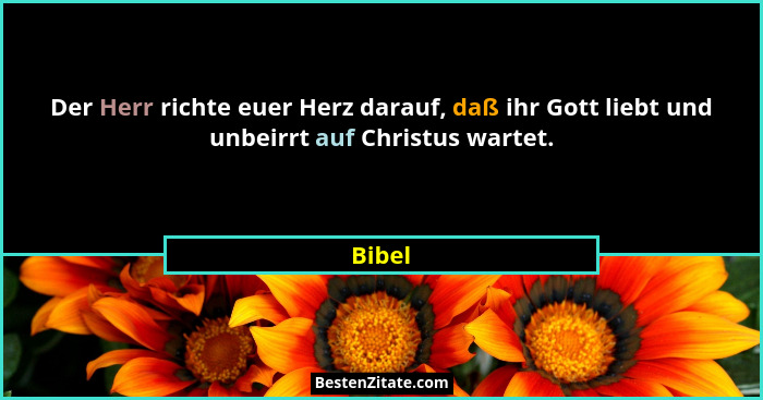 Der Herr richte euer Herz darauf, daß ihr Gott liebt und unbeirrt auf Christus wartet.... - Bibel