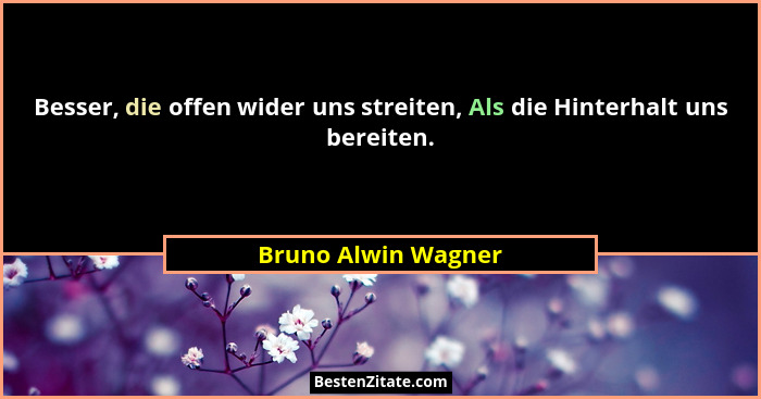Besser, die offen wider uns streiten, Als die Hinterhalt uns bereiten.... - Bruno Alwin Wagner