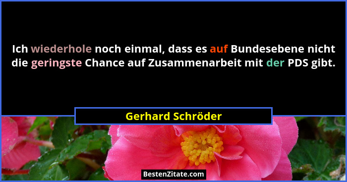 Ich wiederhole noch einmal, dass es auf Bundesebene nicht die geringste Chance auf Zusammenarbeit mit der PDS gibt.... - Gerhard Schröder