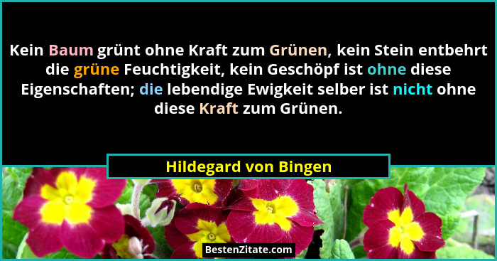 Kein Baum grünt ohne Kraft zum Grünen, kein Stein entbehrt die grüne Feuchtigkeit, kein Geschöpf ist ohne diese Eigenschaften;... - Hildegard von Bingen