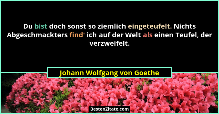 Du bist doch sonst so ziemlich eingeteufelt. Nichts Abgeschmackters find' ich auf der Welt als einen Teufel, der verz... - Johann Wolfgang von Goethe