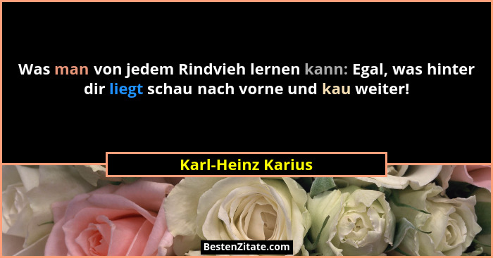 Was man von jedem Rindvieh lernen kann: Egal, was hinter dir liegt schau nach vorne und kau weiter!... - Karl-Heinz Karius