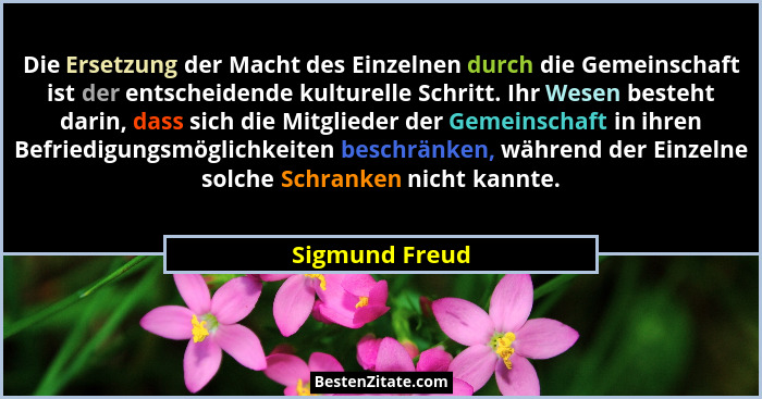 Die Ersetzung der Macht des Einzelnen durch die Gemeinschaft ist der entscheidende kulturelle Schritt. Ihr Wesen besteht darin, dass s... - Sigmund Freud