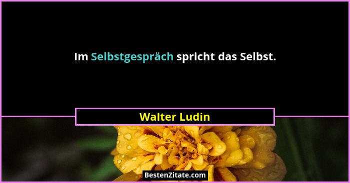Im Selbstgespräch spricht das Selbst.... - Walter Ludin