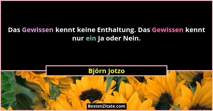 Das Gewissen kennt keine Enthaltung. Das Gewissen kennt nur ein Ja oder Nein.... - Björn Jotzo