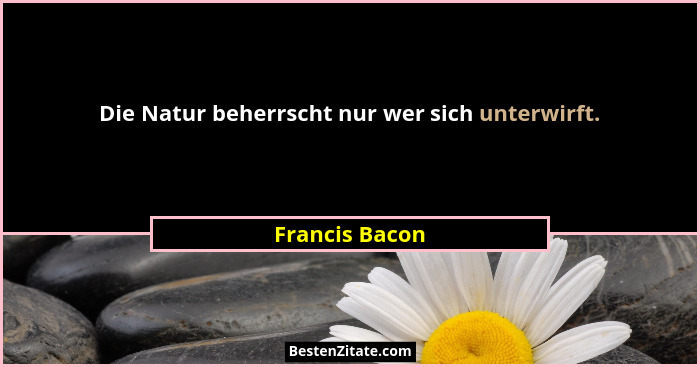 Die Natur beherrscht nur wer sich unterwirft.... - Francis Bacon