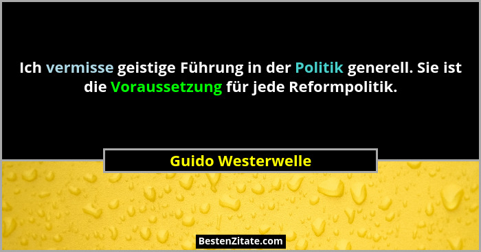 Ich vermisse geistige Führung in der Politik generell. Sie ist die Voraussetzung für jede Reformpolitik.... - Guido Westerwelle