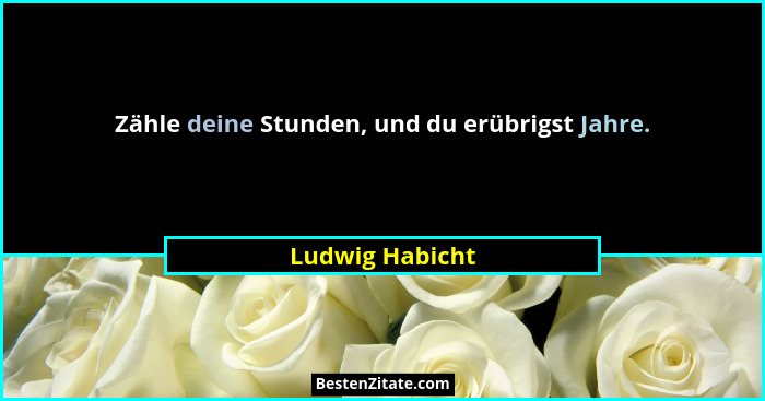 Zähle deine Stunden, und du erübrigst Jahre.... - Ludwig Habicht
