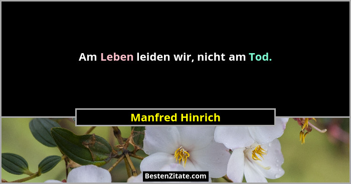 Am Leben leiden wir, nicht am Tod.... - Manfred Hinrich