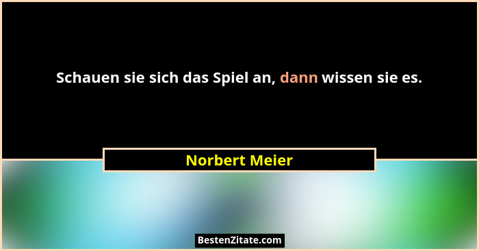 Schauen sie sich das Spiel an, dann wissen sie es.... - Norbert Meier