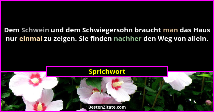 Dem Schwein und dem Schwiegersohn braucht man das Haus nur einmal zu zeigen. Sie finden nachher den Weg von allein.... - Sprichwort