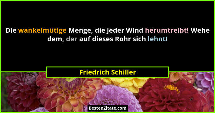 Die wankelmütige Menge, die jeder Wind herumtreibt! Wehe dem, der auf dieses Rohr sich lehnt!... - Friedrich Schiller