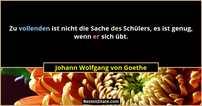 Zu vollenden ist nicht die Sache des Schülers, es ist genug, wenn er sich übt.... - Johann Wolfgang von Goethe
