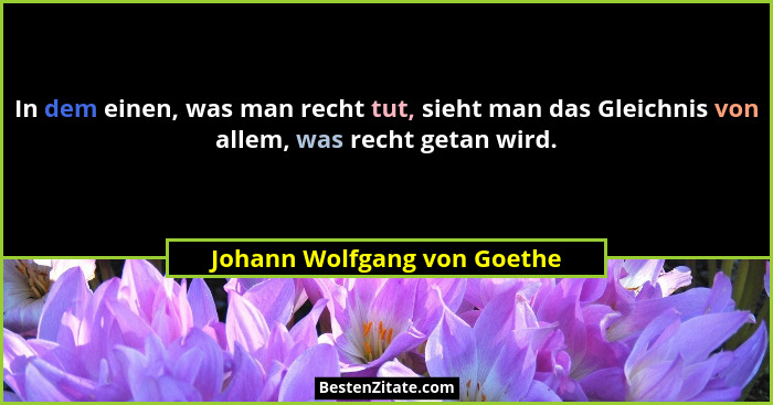 In dem einen, was man recht tut, sieht man das Gleichnis von allem, was recht getan wird.... - Johann Wolfgang von Goethe