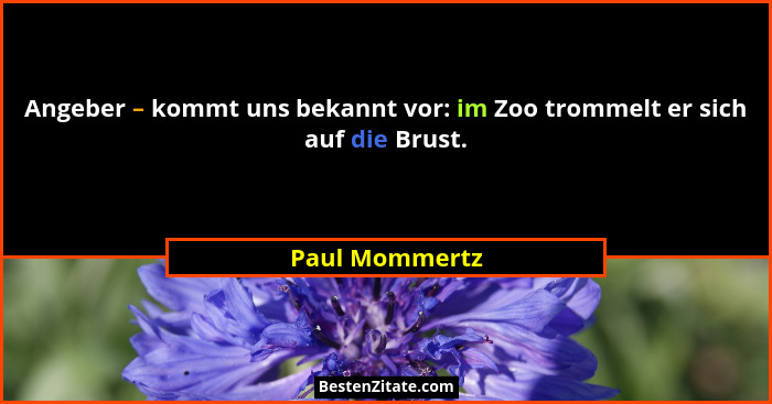 Angeber – kommt uns bekannt vor: im Zoo trommelt er sich auf die Brust.... - Paul Mommertz