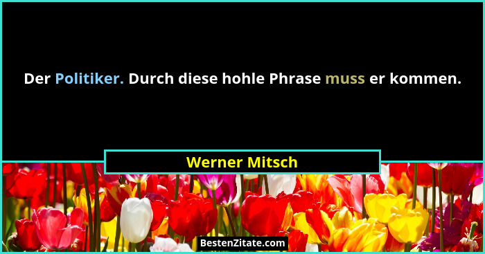 Der Politiker. Durch diese hohle Phrase muss er kommen.... - Werner Mitsch