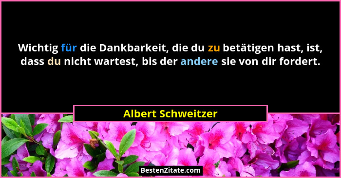 Wichtig für die Dankbarkeit, die du zu betätigen hast, ist, dass du nicht wartest, bis der andere sie von dir fordert.... - Albert Schweitzer