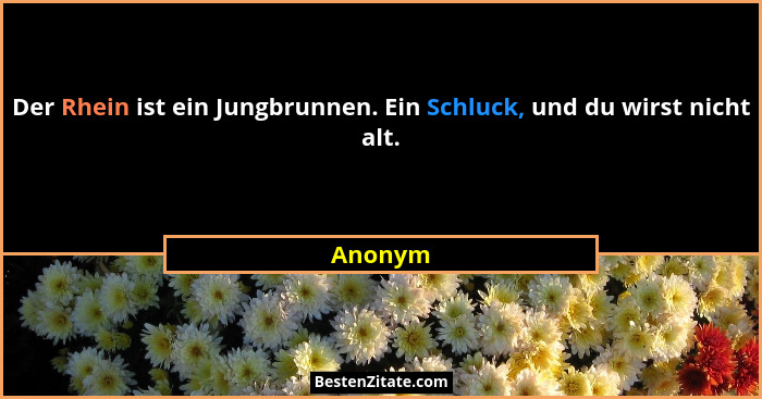 Der Rhein ist ein Jungbrunnen. Ein Schluck, und du wirst nicht alt.... - Anonym